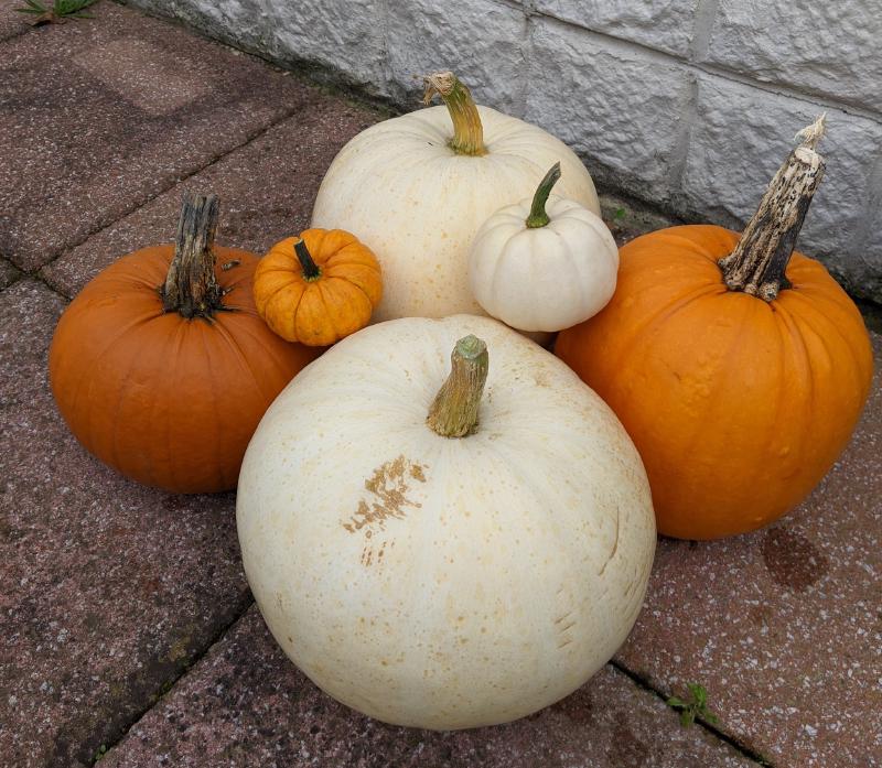 Featured image of post Getting Your Powershell Code Into Production Using Github Actions