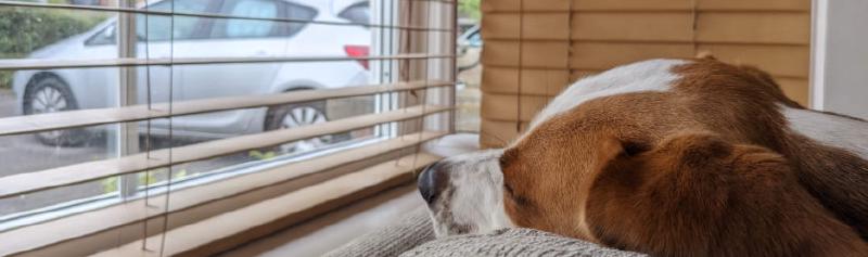 Featured image of post Patching Snowflakes with ConfigMgr and PowerShell