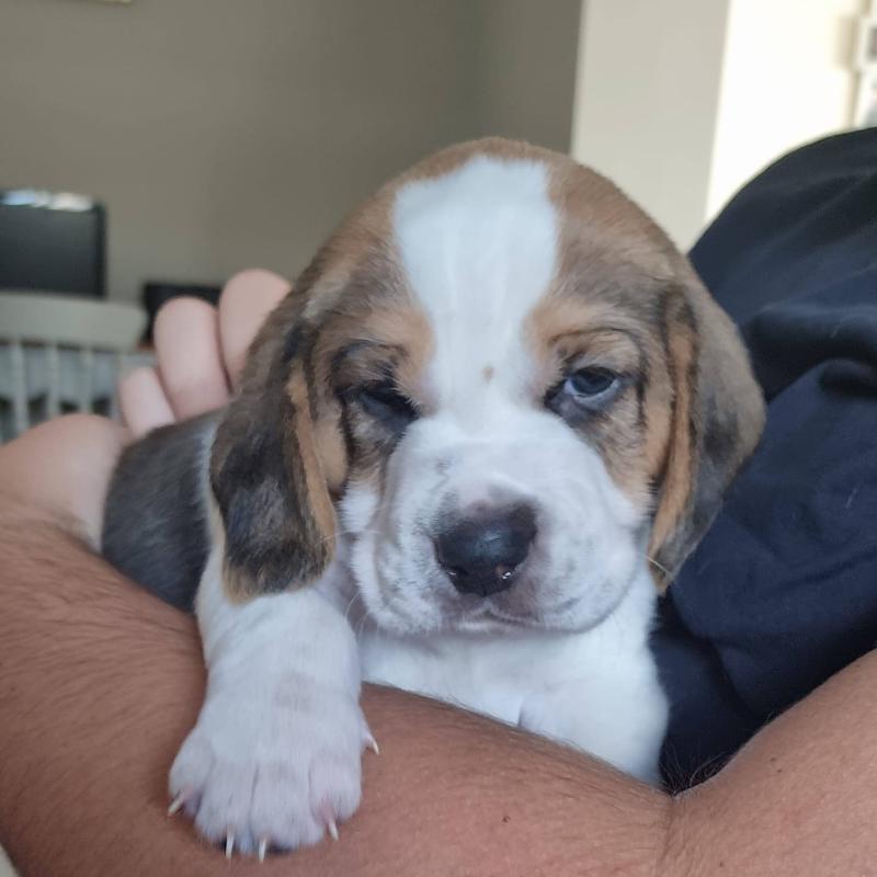 Featured image of post PowerShell vs. CSharp Azure Functions Cold Starts